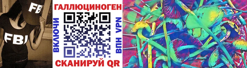 Купить где  Торопец  Псилоцибиновые грибы мицелий 